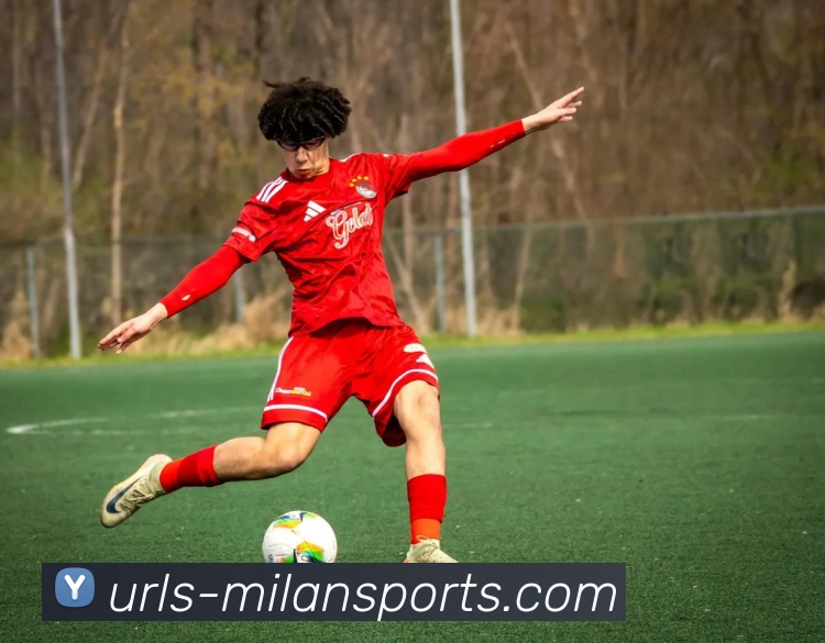 米兰官网平台生态图